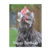 Americana Rooster Happy Birthday