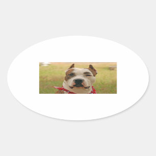 AmericanStaffordTerrier 2.png Ovaler Aufkleber