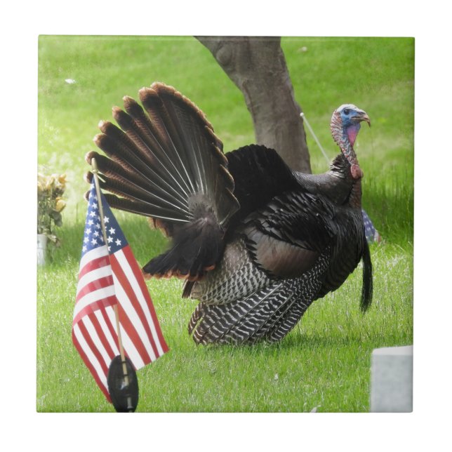 America's Bird Wild Tom Turkey  Fliese (Vorderseite)