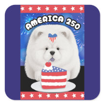 AMERIKA 250 - CREAM Chow