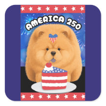 AMERIKA 250 Rotes Chow-Chow