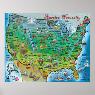 Amerika Naturally Fun Map Poster