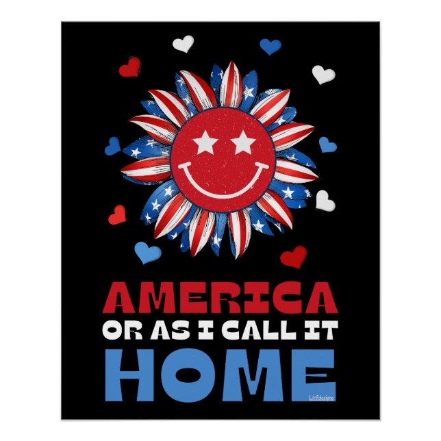 AMERIKA, ODER WIE ICH ES NENNE, ZUHAUSE POSTER (Vorderseite)