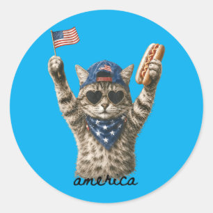 Amerika patriotische Katze Hot Dog Runder Aufkleber