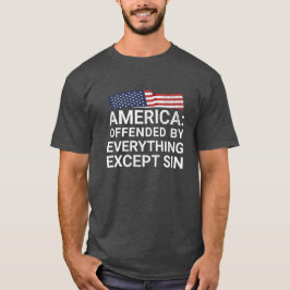 Amerika, von allem beleidigt außer Sin T-Shirt