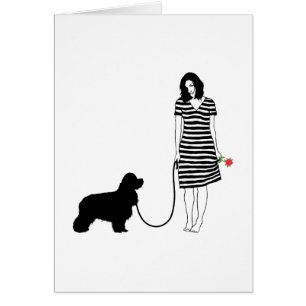 Amerikaner Cocker spaniel