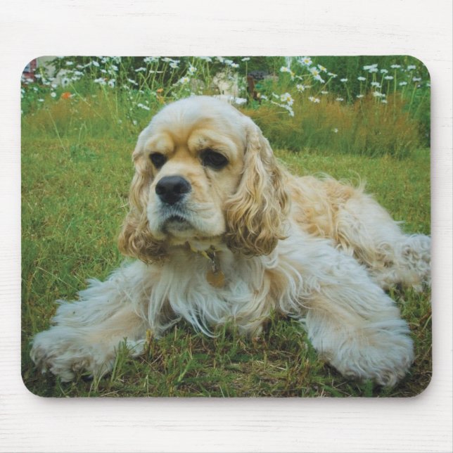 Amerikaner-Cocker spaniel-Hund Mousepad (Vorne)