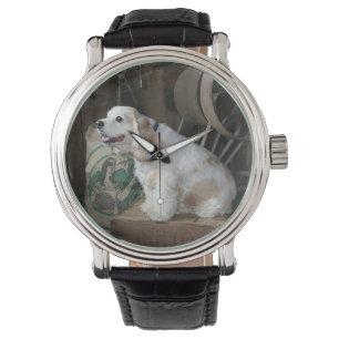 Amerikaner-cocker spanielsitzen armbanduhr