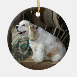 Amerikaner-cocker spanielsitzen keramik ornament