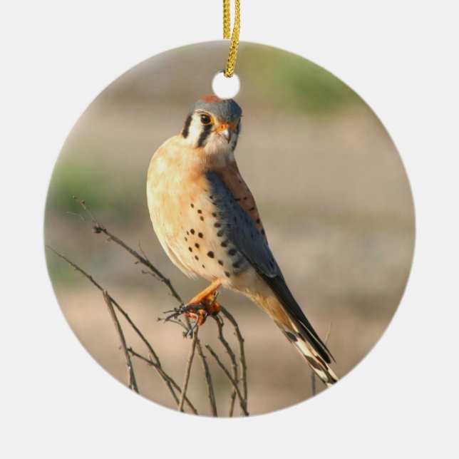 Amerikaner Kestel Keramik Ornament (Vorne)