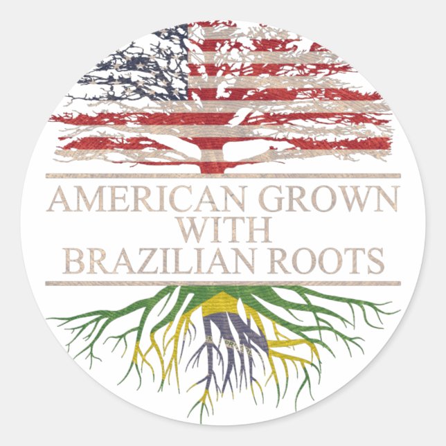 Amerikaner mit brasilianischen Wurzeln Runder Aufkleber (Vorderseite)