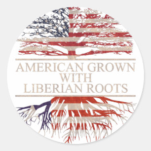 Amerikaner mit liberalen Wurzeln Runder Aufkleber