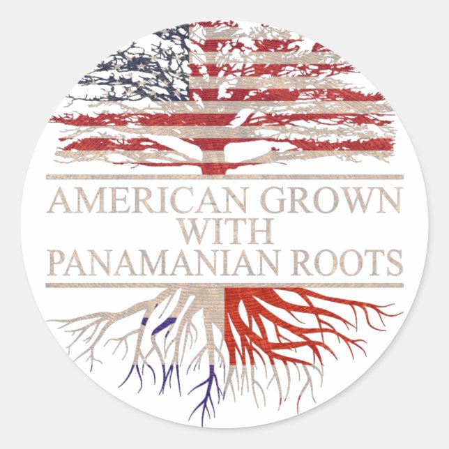 Amerikaner mit panamaischen Wurzeln Runder Aufkleber (Vorderseite)