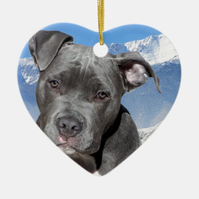Amerikaner Pitbull Terrier Hündchen Keramik Ornament (Vorne)