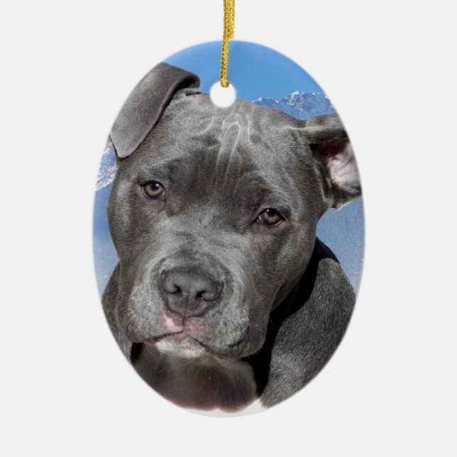 Amerikaner Pitbull Terrier Hündchen Keramik Ornament (Vorne)
