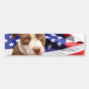 Amerikaner Pitbull Welpe Autoaufkleber