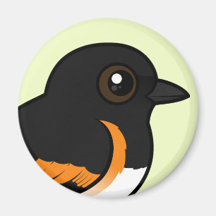 Amerikaner Redstart Magnet