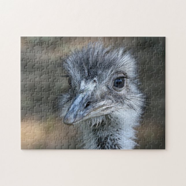Amerikaner-Rhea-Porträt (Horizontal)