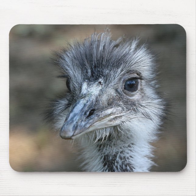 Amerikaner-Rhea-Porträt Mousepad (Vorne)