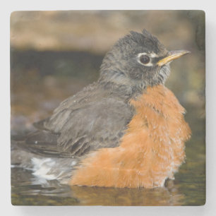 Amerikaner Robin, der 2 badet Steinuntersetzer