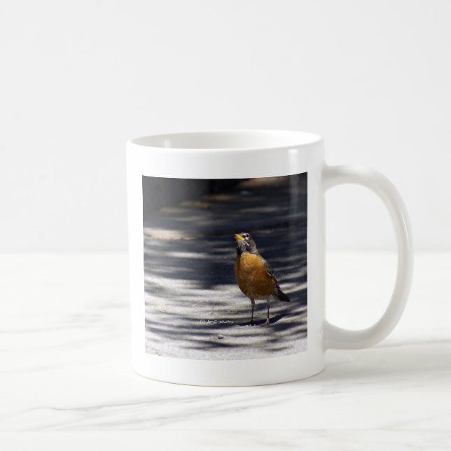 Amerikaner Robin Kaffeetasse (Rechts)