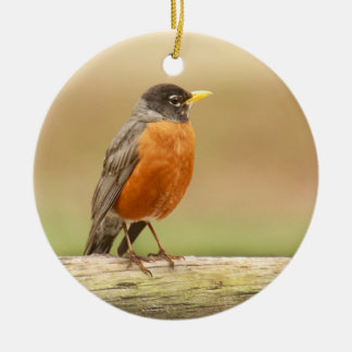 Amerikaner Robin stehend Keramik Ornament