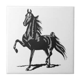 Amerikaner Saddlebred Fliese