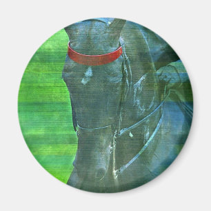 Amerikaner Saddlebred Magnet