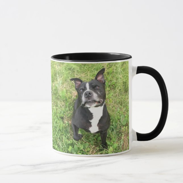 Amerikaner Stier Terrior Tasse (Rechts)