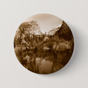 amerikanisch button