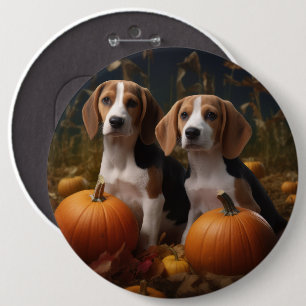 Amerikanisch-englischer Foxhound Welpen Herbst Fre Button