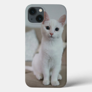 Amerikanisch Kurzhaar Katze weiß Case-Mate iPhone Hülle
