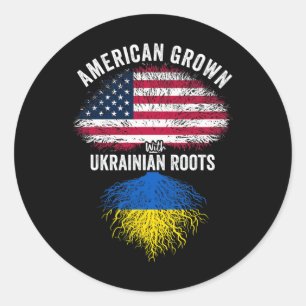 Amerikanisch mit ukrainischen Wurzeln USA Ukraine Runder Aufkleber