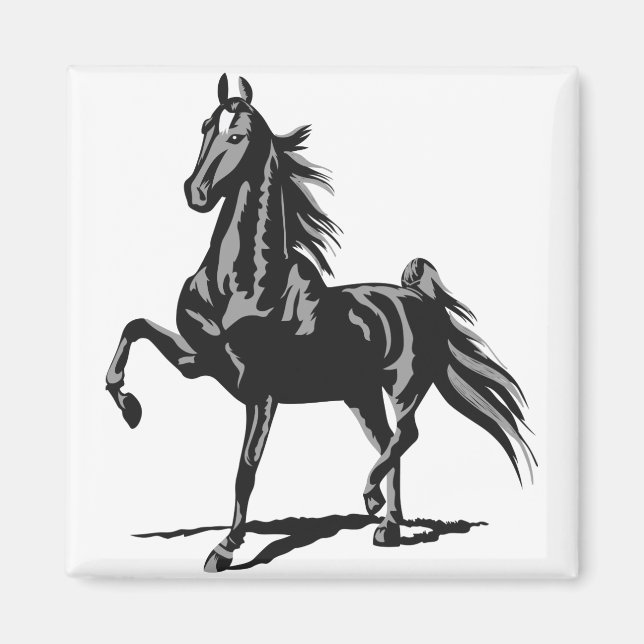 Amerikanisch Saddlebred Magnet (Vorne)