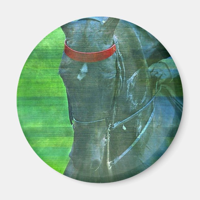 Amerikanisch Saddlebred Magnet (Vorne)