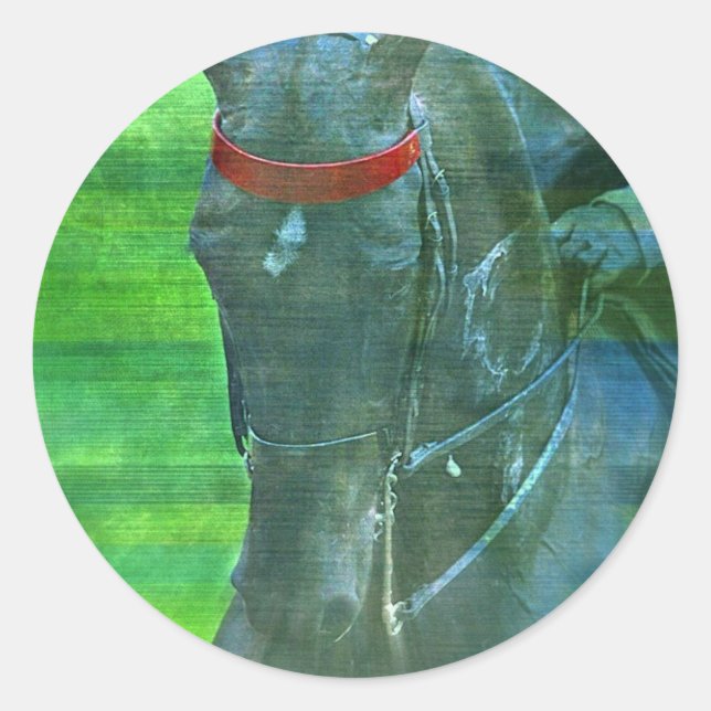 Amerikanisch Saddlebred Runder Aufkleber (Vorderseite)