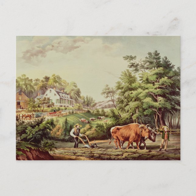 Amerikanische Bauernhof-Szenen Postkarte (Vorderseite)