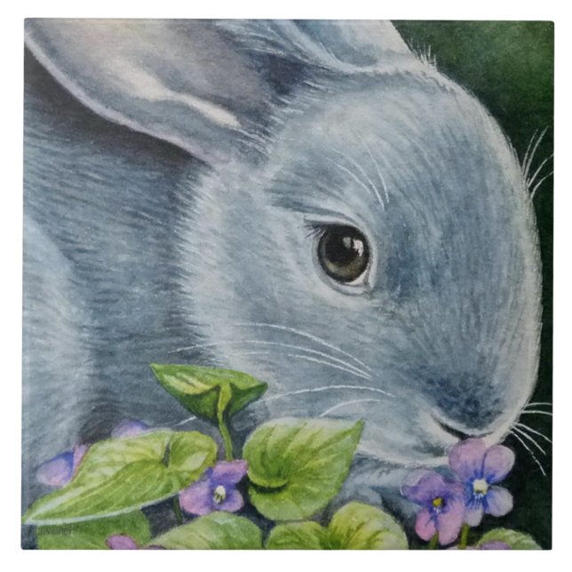 Amerikanische Blaue Kaninchen in Violets Wasserfar Fliese (Vorderseite)