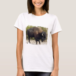 Amerikanische Büffel-Damen-angepasster T - Shirt
