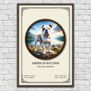 Amerikanische Bulldogge Zoologie-Serie Poster