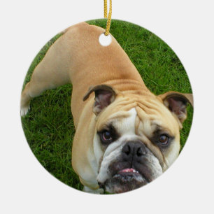 Amerikanische Bulldoggen-Verzierung Keramik Ornament
