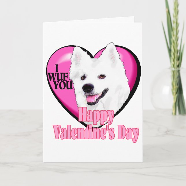 Amerikanische EskimohundeValentinsgrüße Feiertagskarte (Vorderseite)