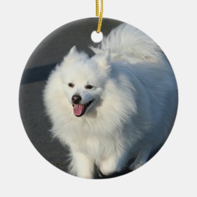 Amerikanische Eskimohundeverzierung Keramikornament (Vorne)