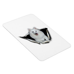 Amerikanische Eskimoliebhaber Magnet