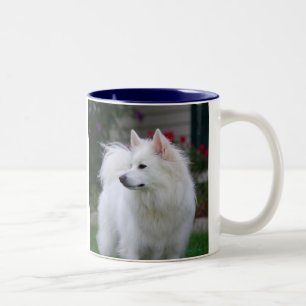 Amerikanische EskimoTasse Zweifarbige Tasse