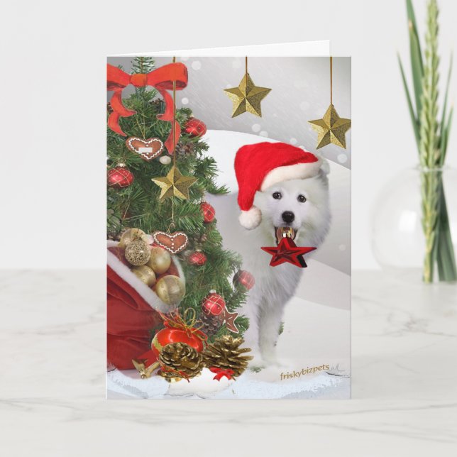 Amerikanische Eskimoweihnachtsstern-Karten Feiertagskarte (Vorderseite)