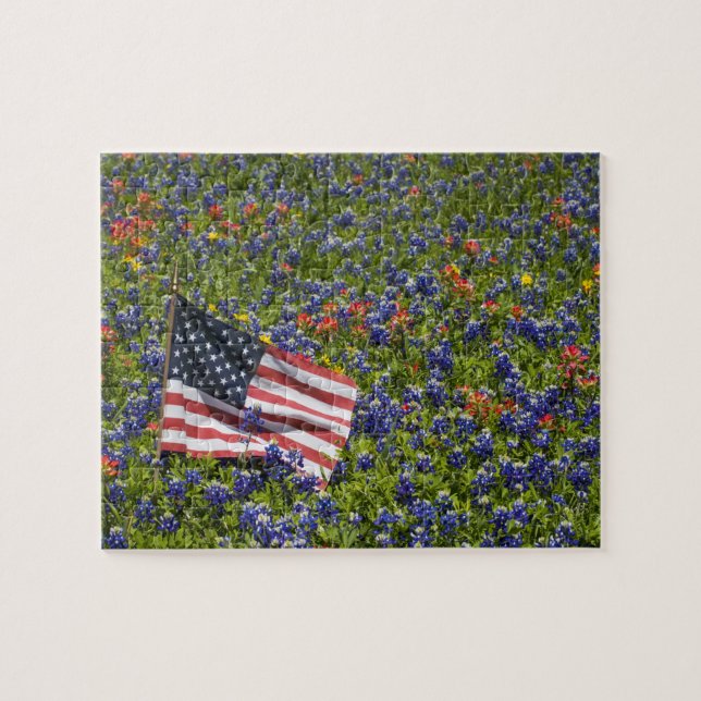Amerikanische Flagge auf dem Gebiet blauer Mützen, (Horizontal)