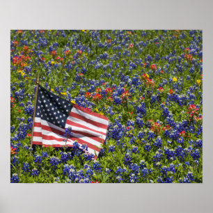 Amerikanische Flagge auf dem Gebiet blauer Mützen, Poster