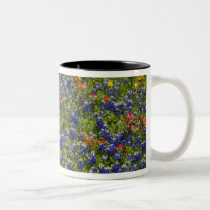 Amerikanische Flagge auf dem Gebiet blauer Mützen, Zweifarbige Tasse