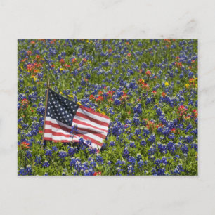 Amerikanische Flagge auf einem Feld mit blauen Bon Postkarte